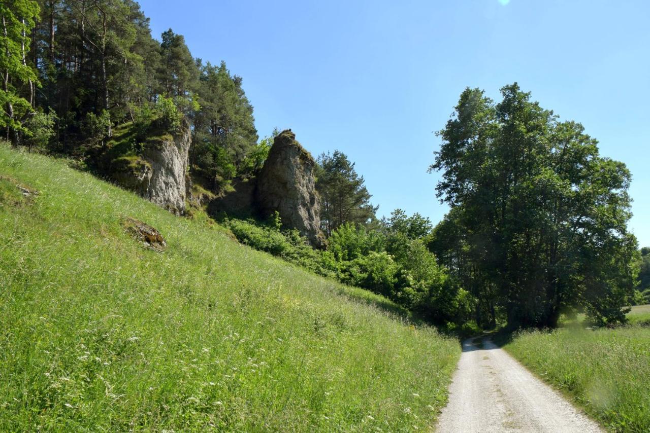 Hotel Gasthof Zum Loewen Velburg Eksteriør bilde